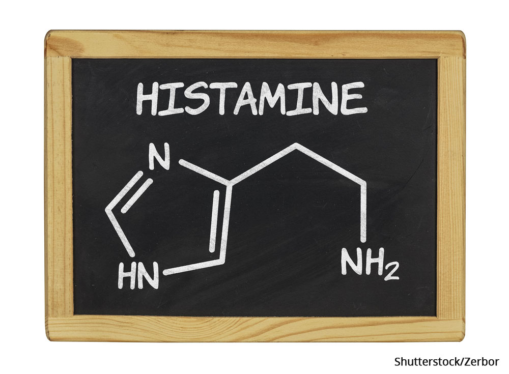 Bei Histaminintoleranz darf ich doch keine Pilze essen!